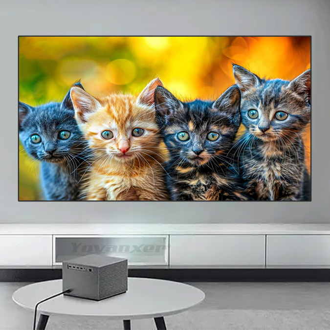 Layar Proyektor Yovanxer Black - Home Cinema Projector Screen ulasan dan harga