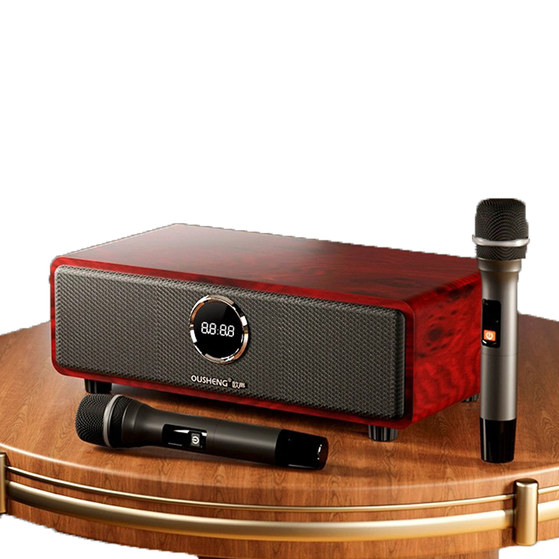 Mesin Karaoke Bluetooth Profes - Home Theater Speaker ulasan dan harga